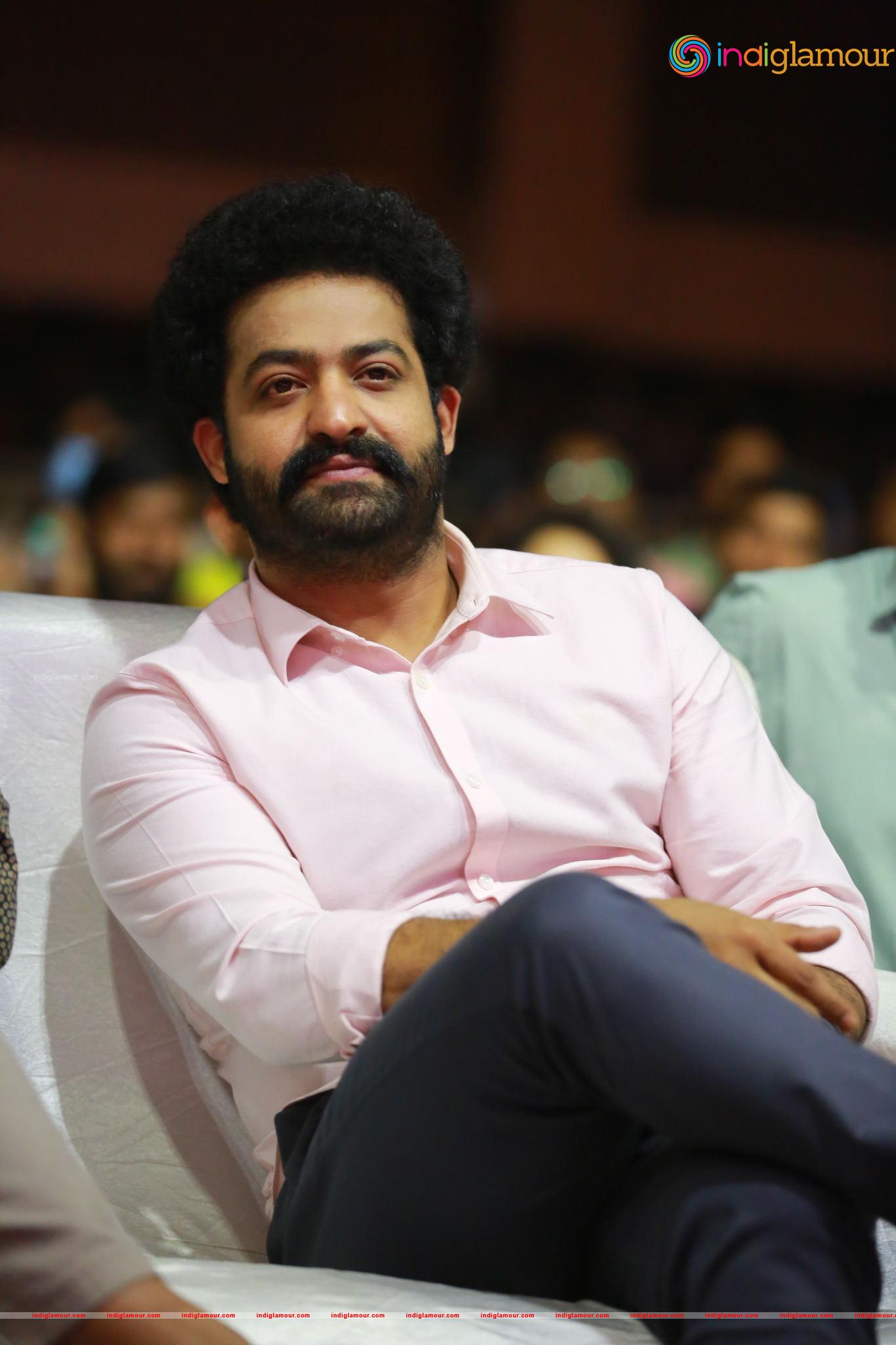 Jr NTR Actor hd photo