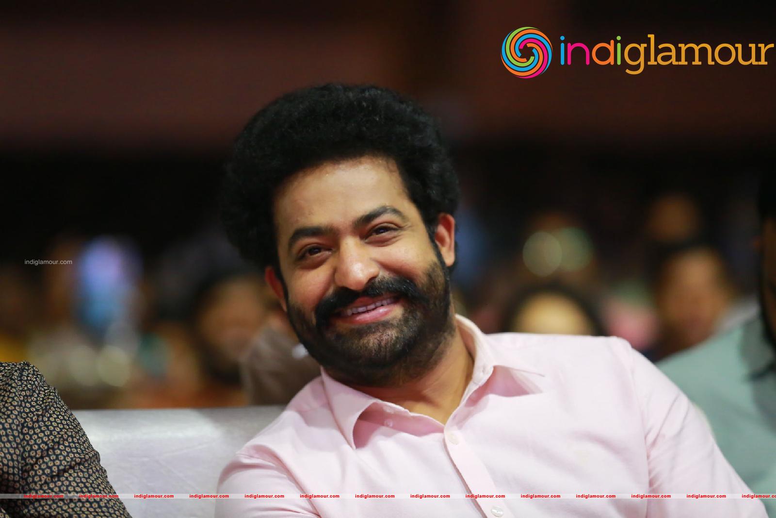 Jr NTR Actor hd photo