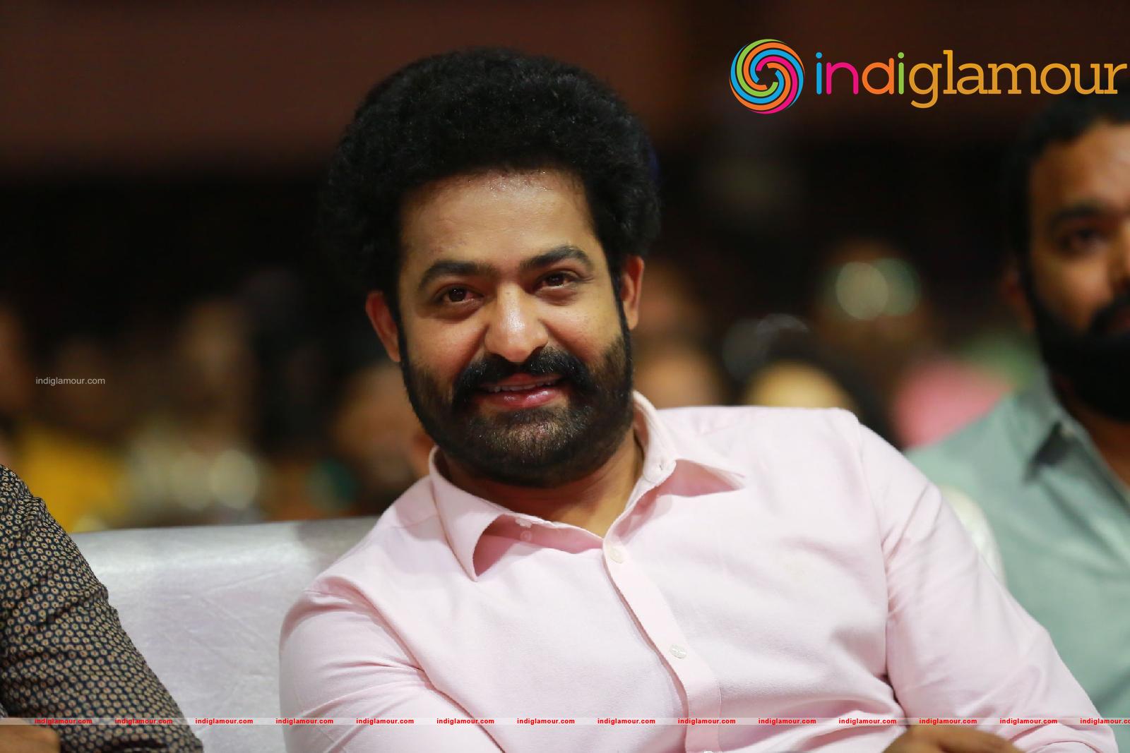 Jr NTR Actor hd photo