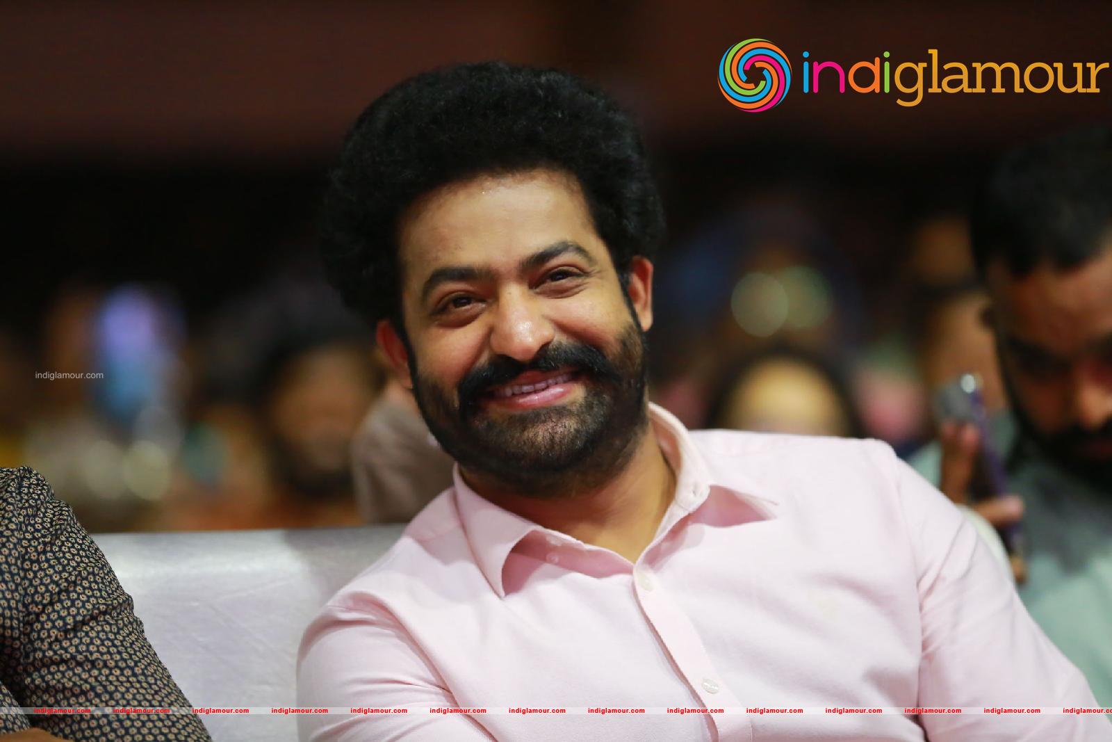 Jr NTR Actor hd photo