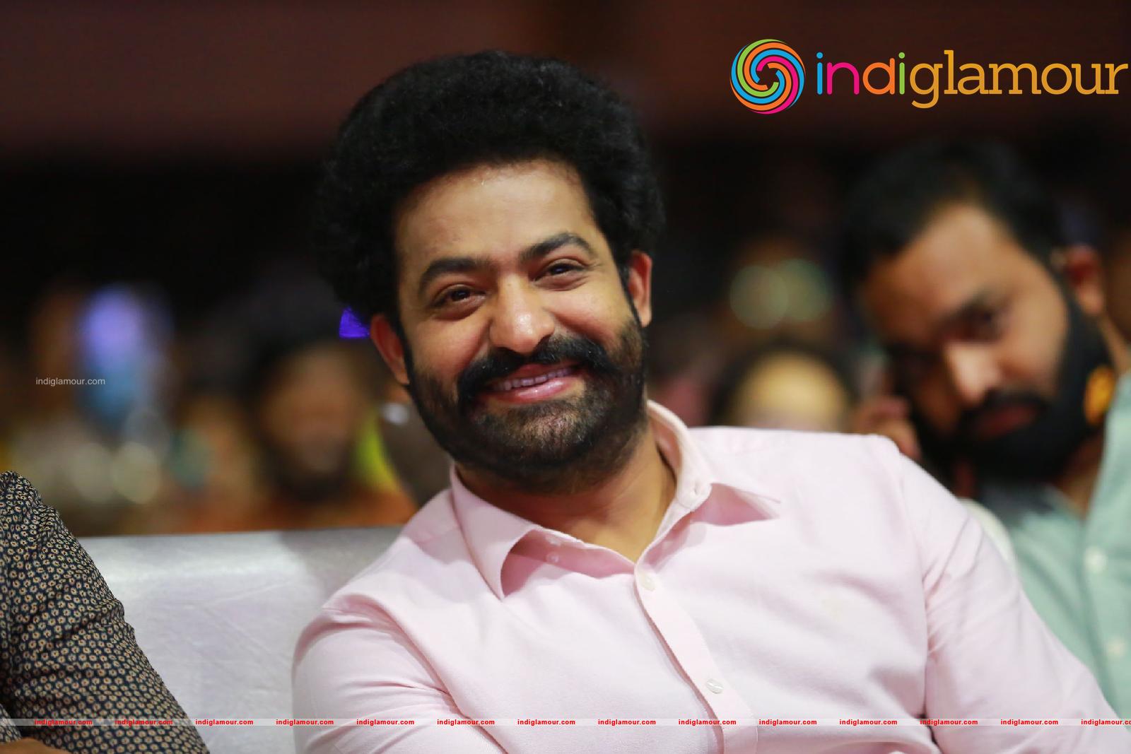 Jr NTR Actor hd photo