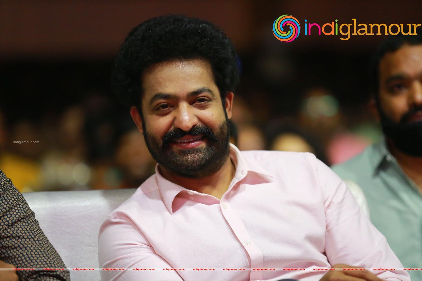 Jr NTR Actor hd photo