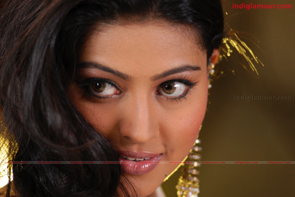 Sneha Actress hd photo