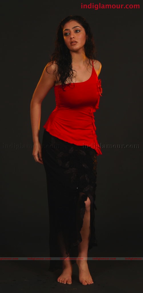 Parvathi Melton Actress hd photo