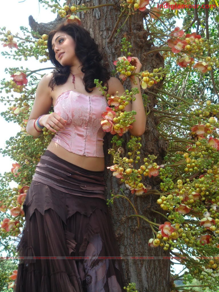 Parvathi Melton Actress hd photo