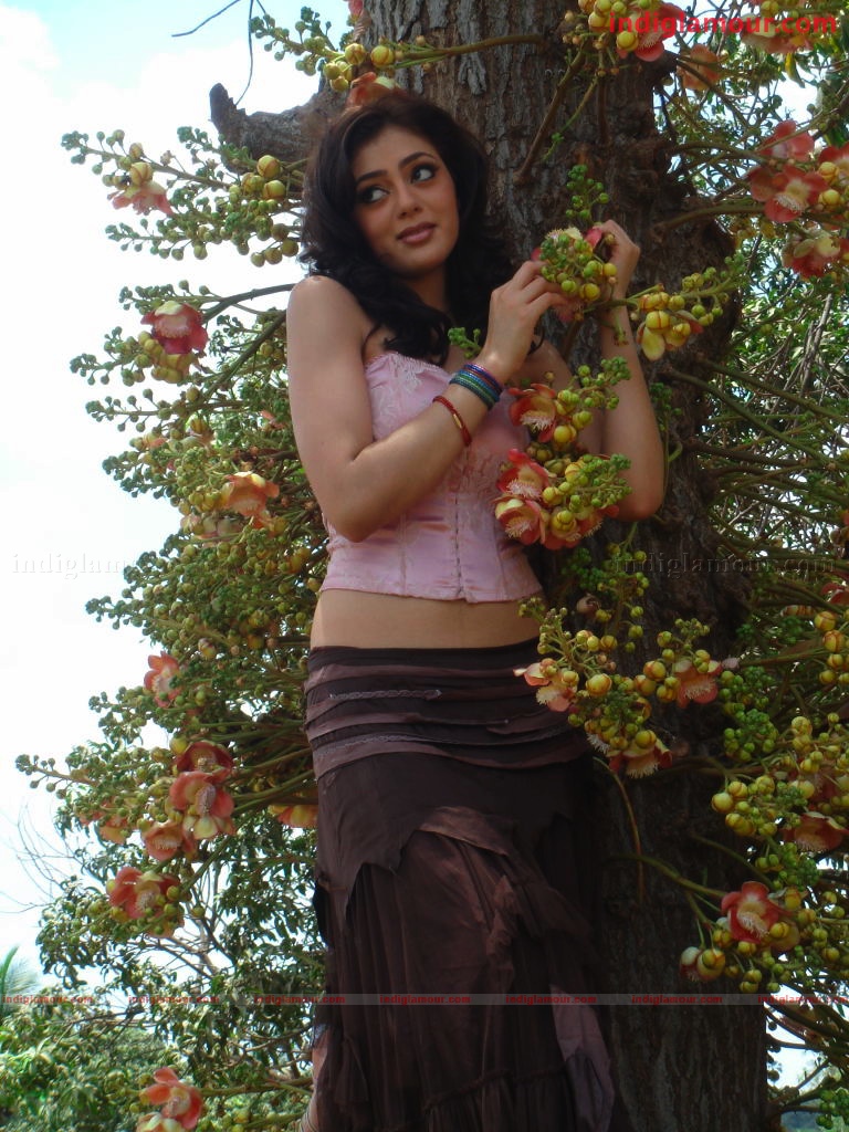 Parvathi Melton Actress hd photo