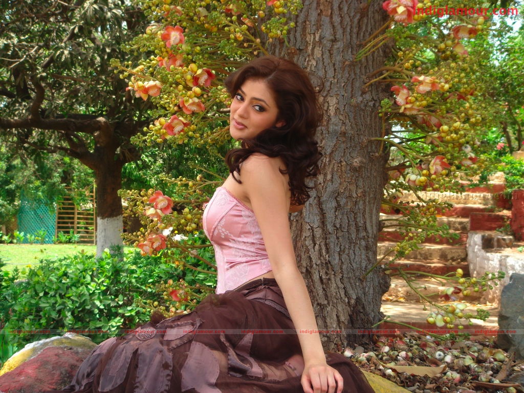 Parvathi Melton Actress hd photo