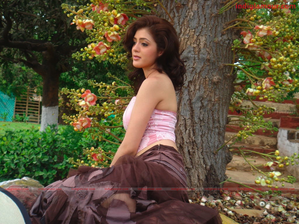 Parvathi Melton Actress hd photo