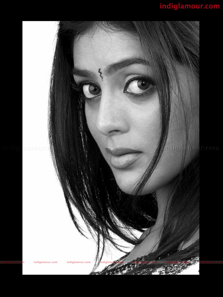 Parvathi Melton Actress hd photo