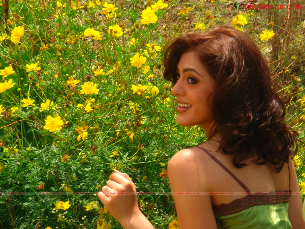 Parvathi Melton Actress hd photo