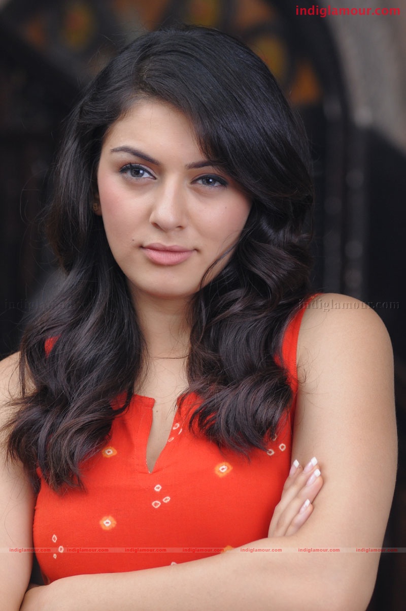 Hansika Motwani Actress hd photo