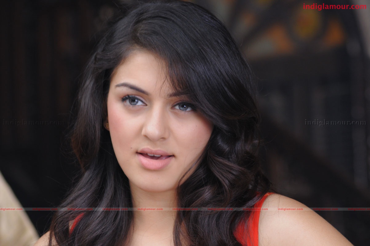 Hansika Motwani Actress hd photo