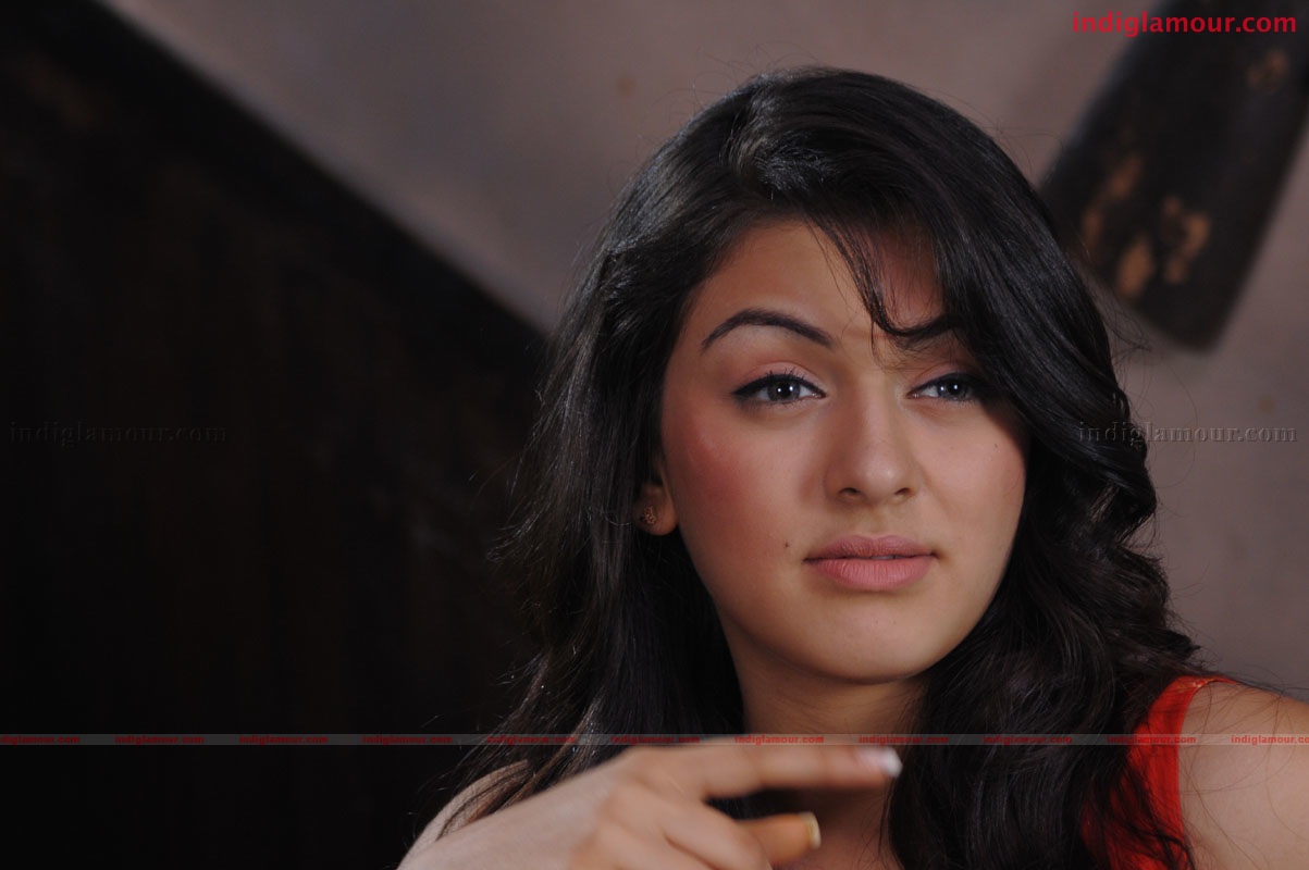 Hansika Motwani Actress hd photo