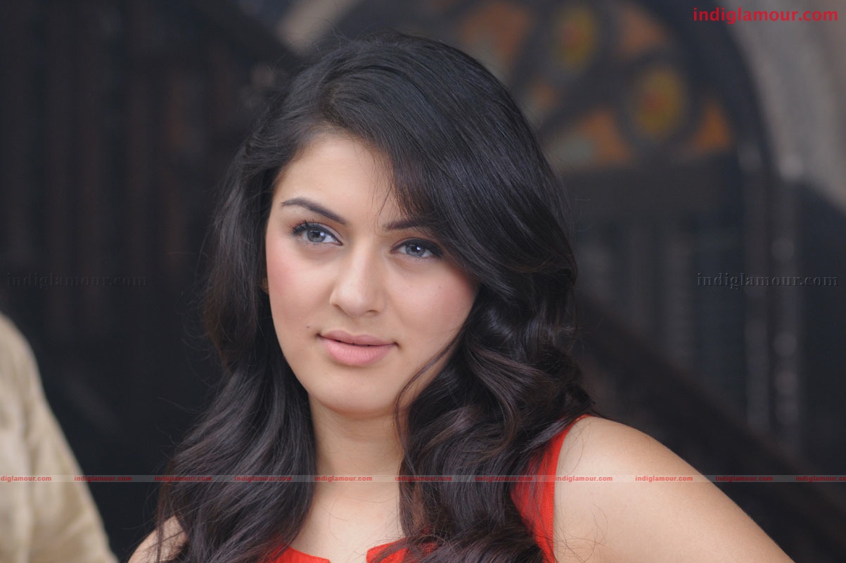 Hansika Motwani Actress hd photo