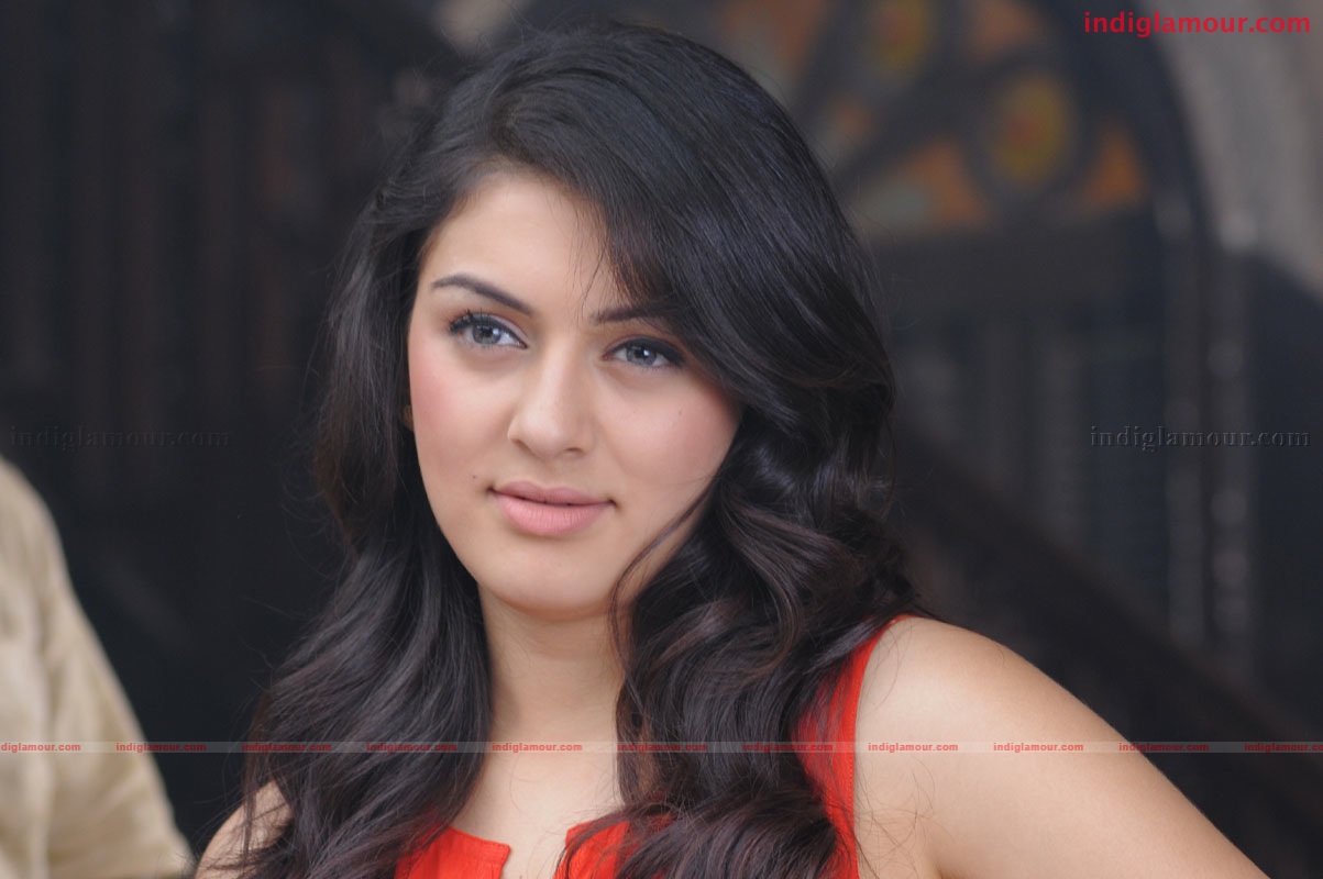 Hansika Motwani Actress hd photo