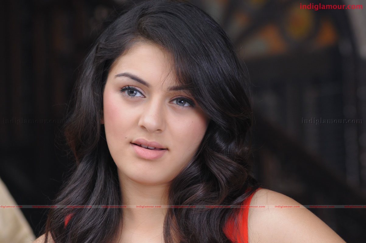 Hansika Motwani Actress hd photo