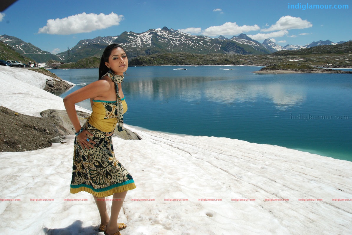 Mamta Mohandas in Preyasi Actress hd photo