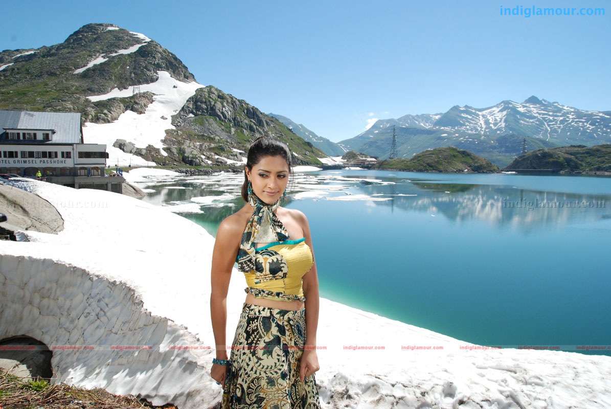 Mamta Mohandas in Preyasi Actress hd photo