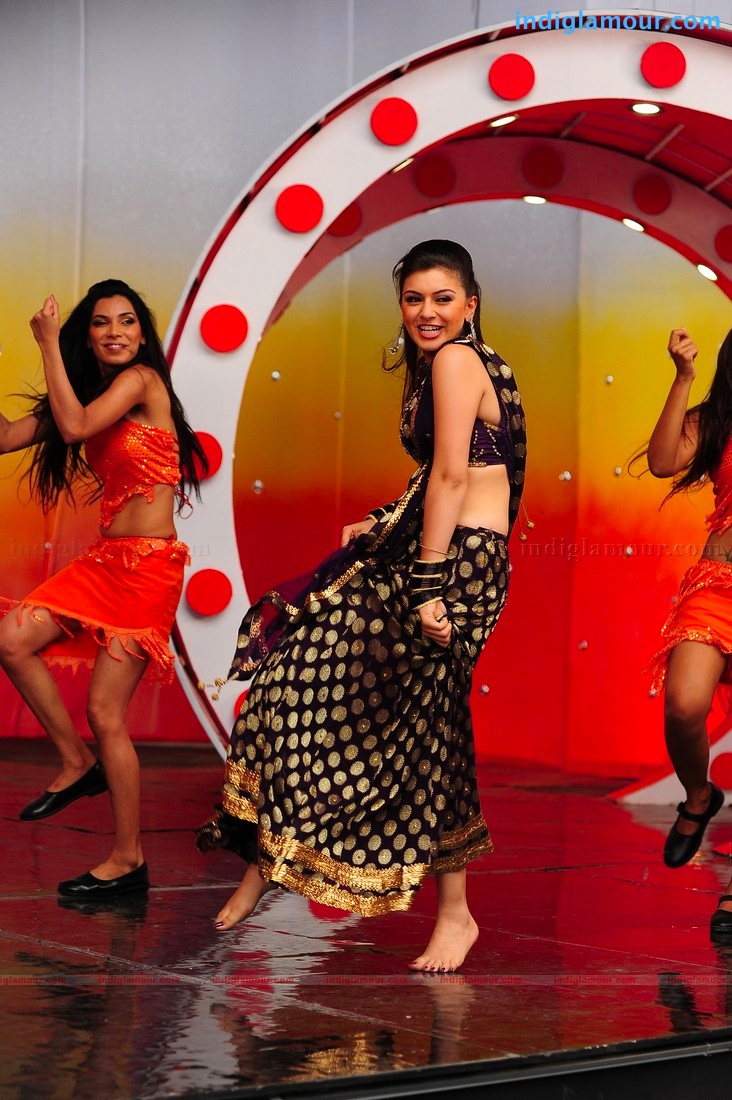 Hansika Motwani Actress hd photo