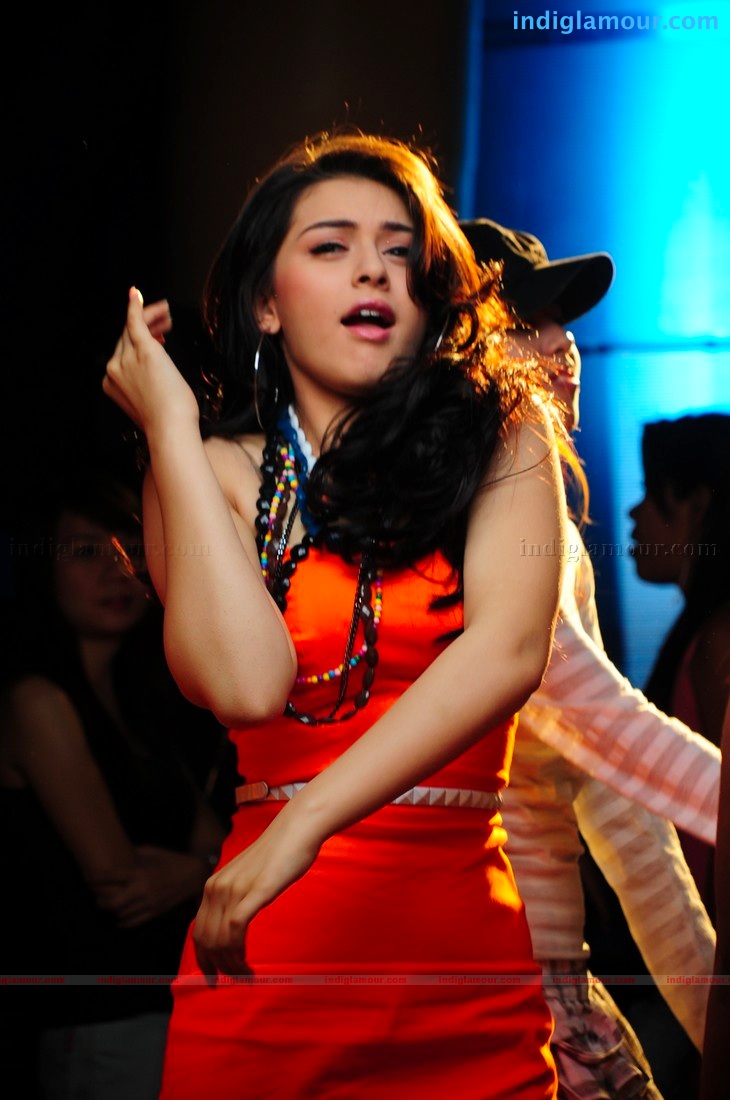 Hansika Motwani Actress hd photo