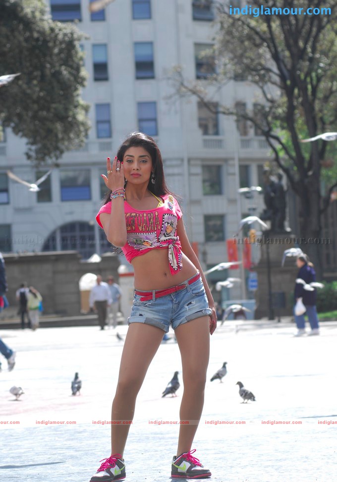 Shriya Saran Actress hd photo