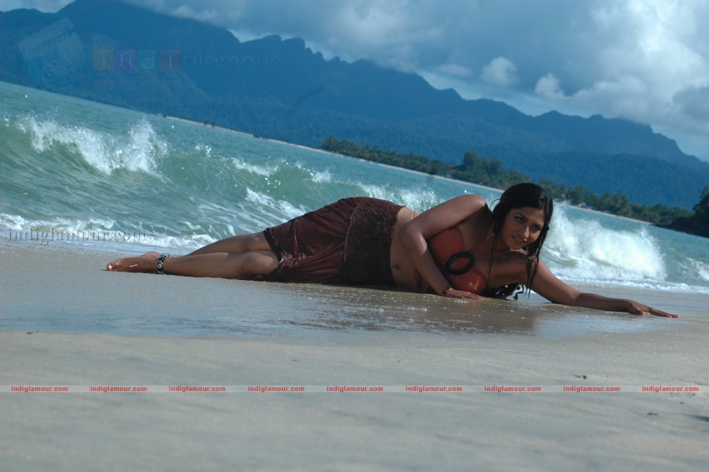 Gayatri Actress hd photo