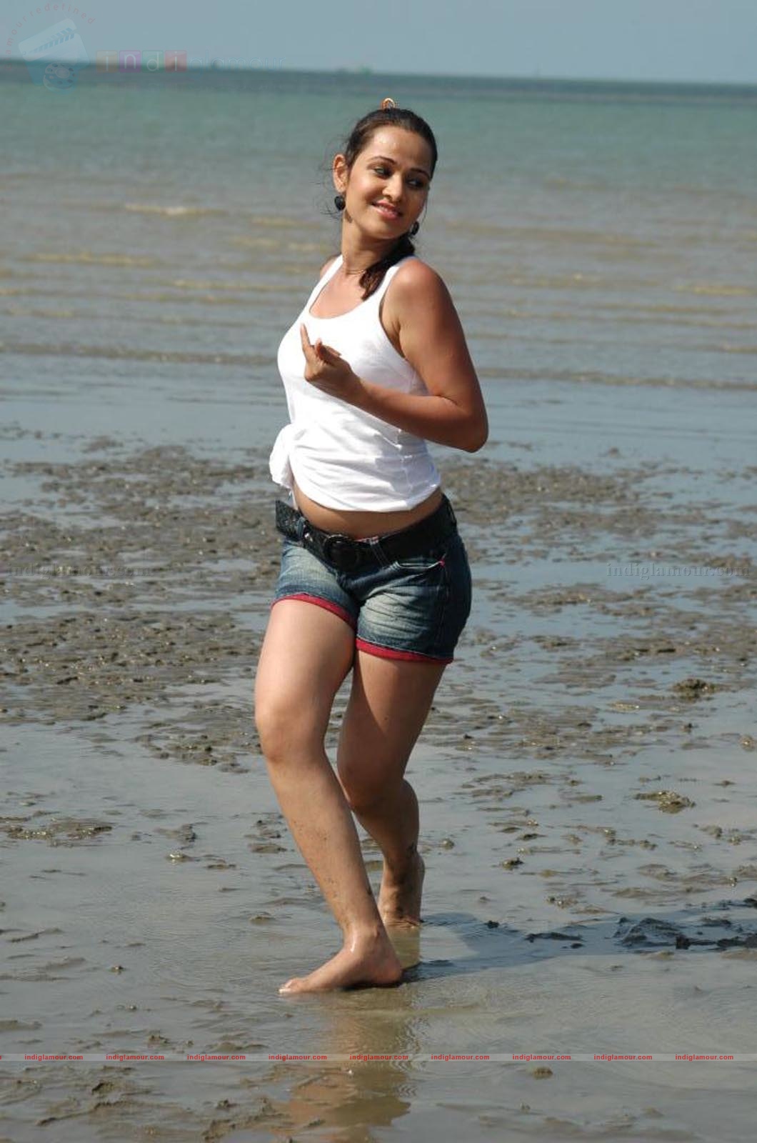 Nisha Kothari Actress hd photo