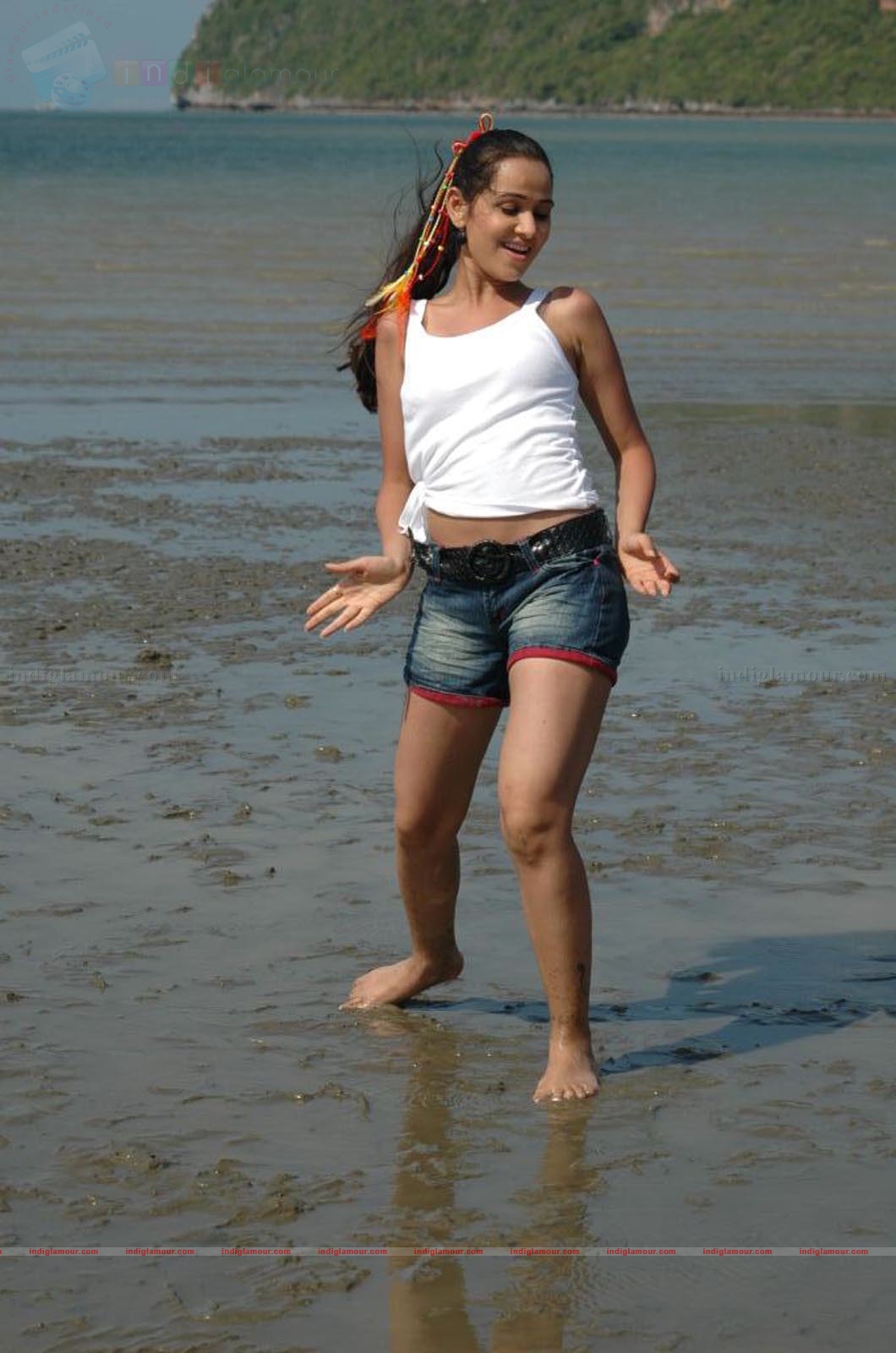Nisha Kothari Actress hd photo