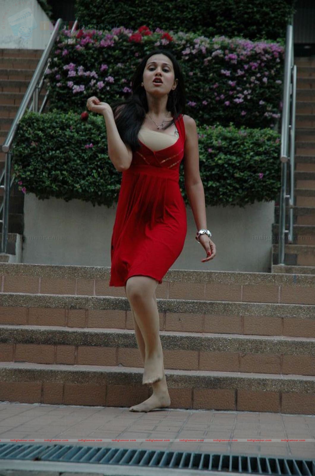 Nisha Kothari Actress hd photo