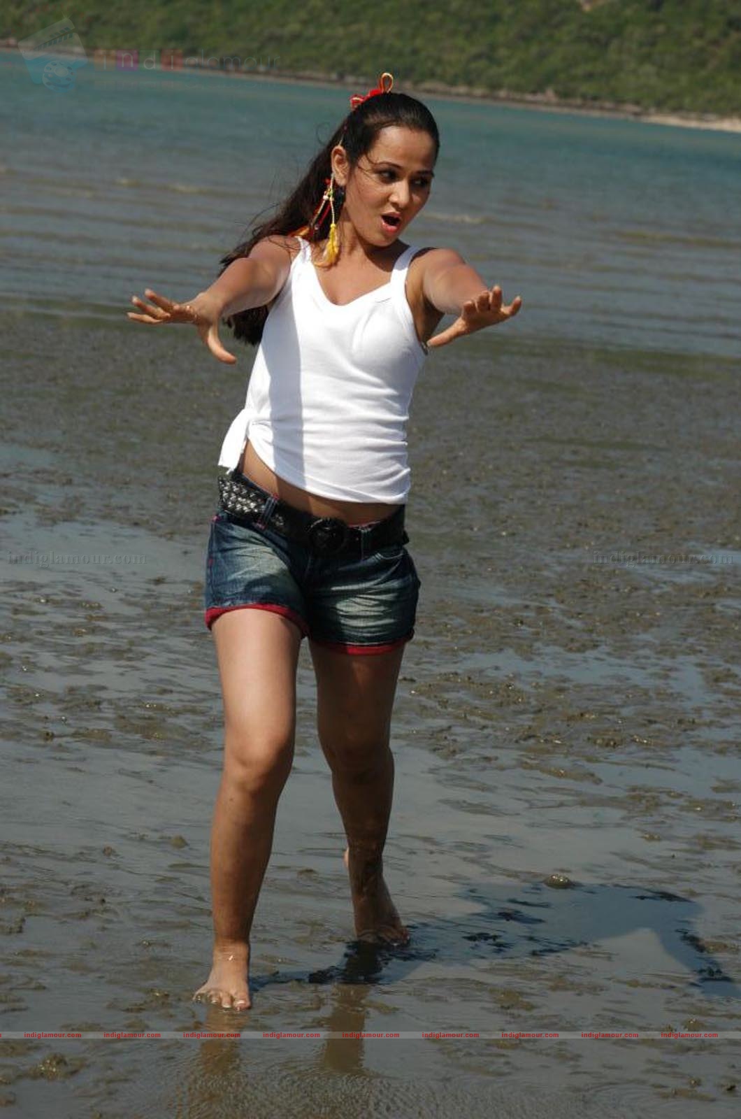 Nisha Kothari Actress hd photo