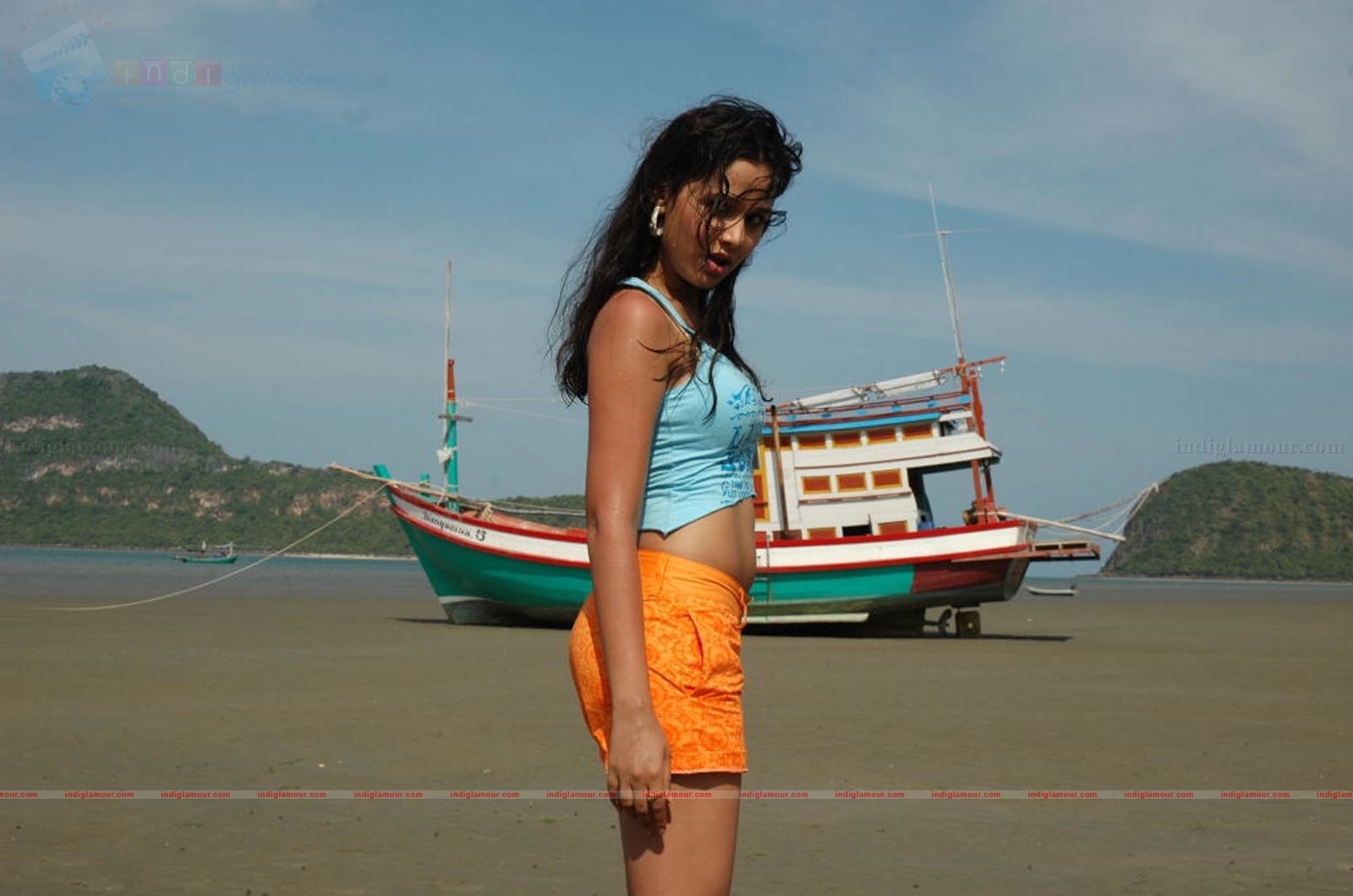 Nisha Kothari Actress hd photo