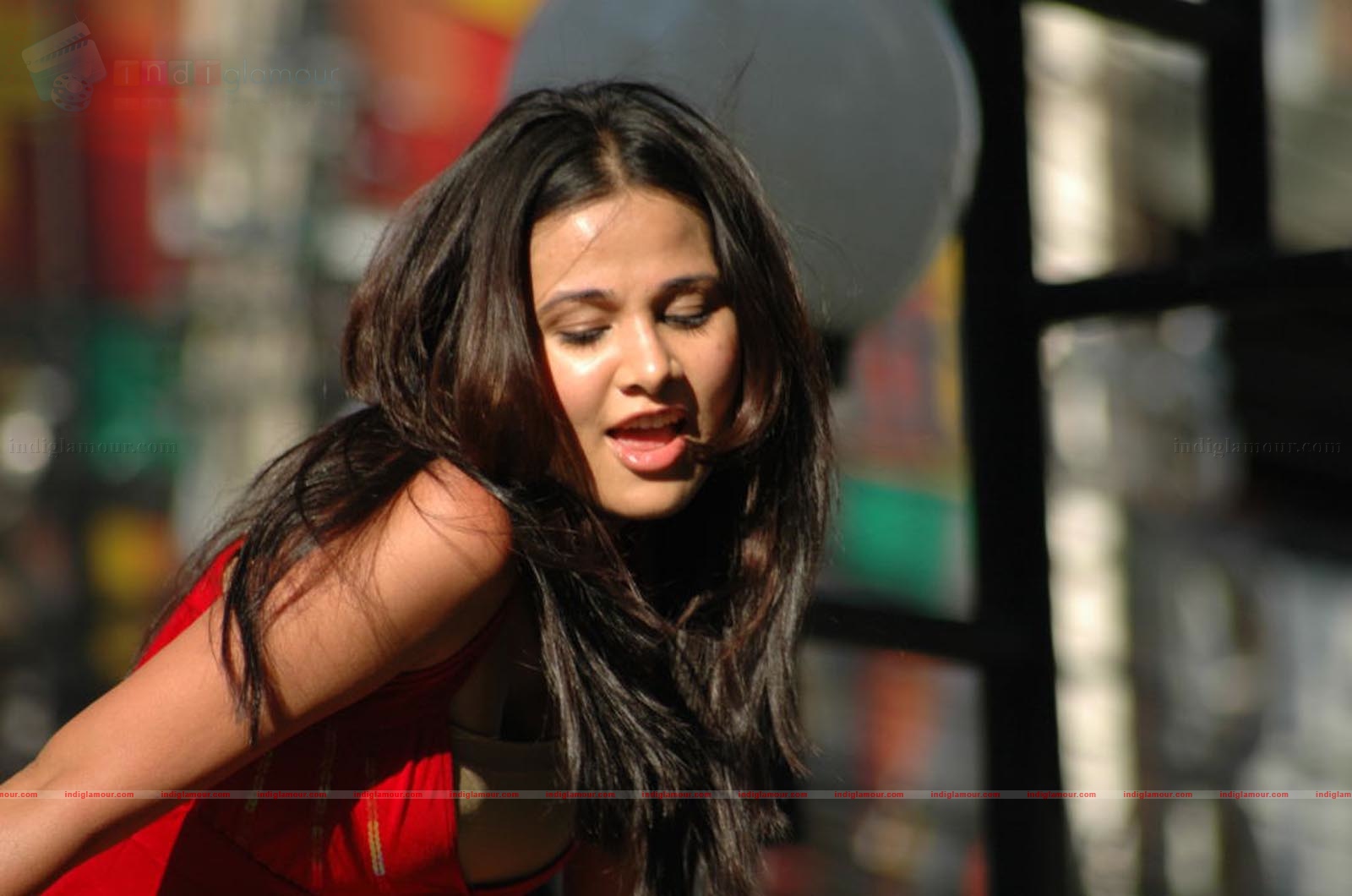 Nisha Kothari Actress hd photo
