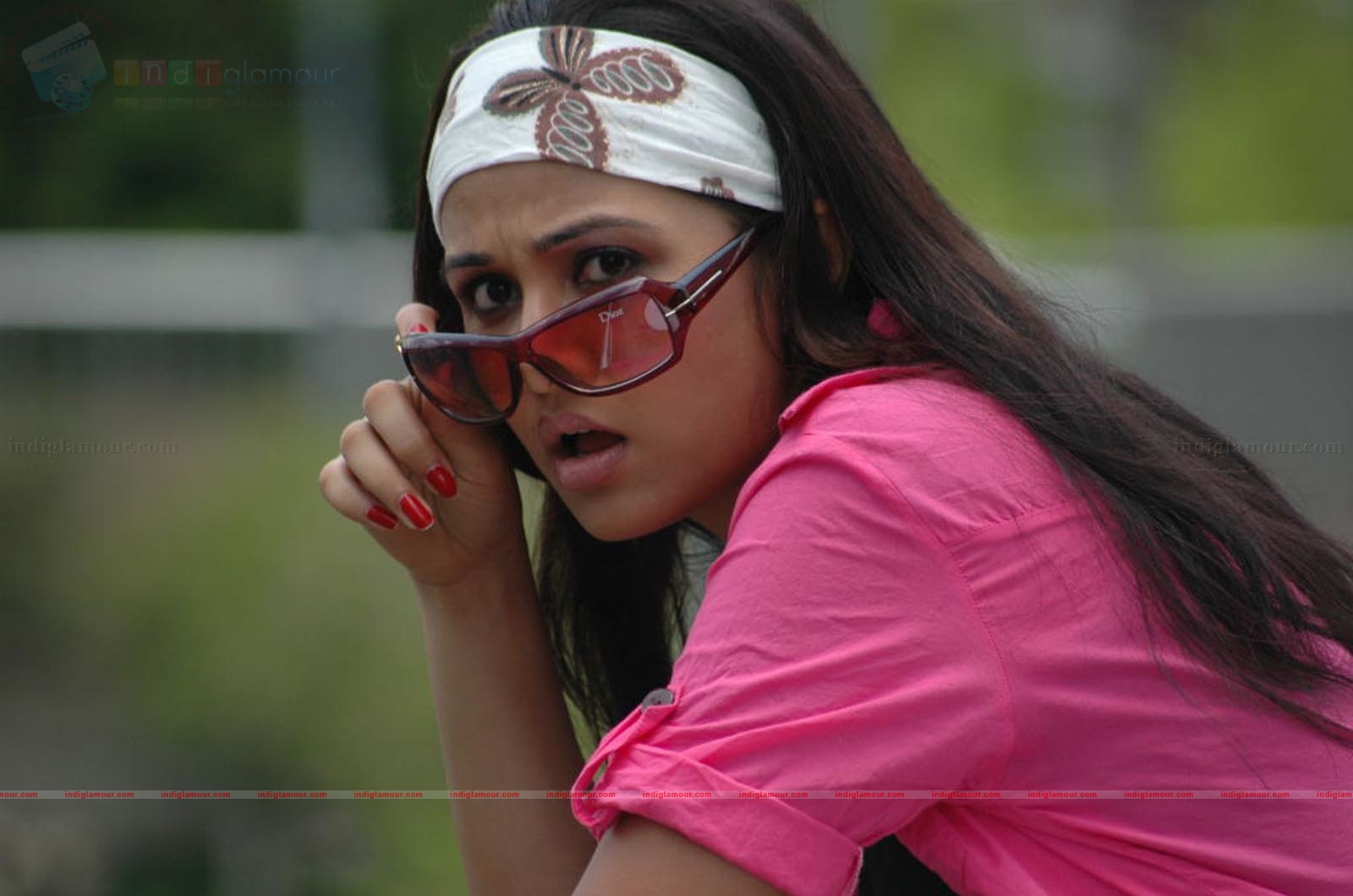 Nisha Kothari Actress hd photo