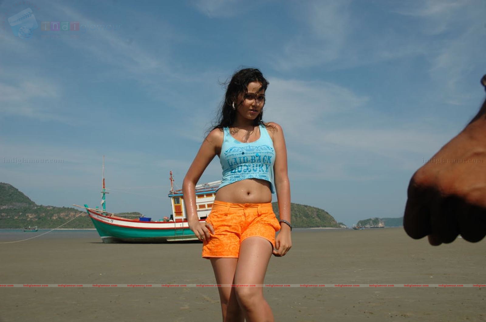 Nisha Kothari Actress hd photo