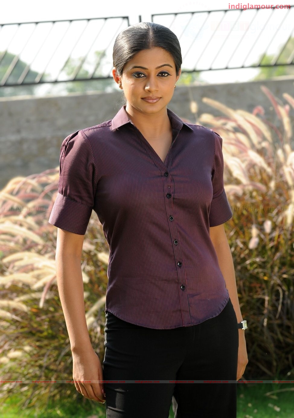 Priyamani Actress hd photo