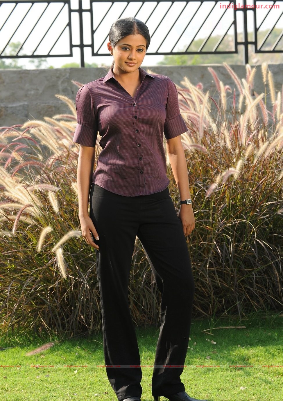 Priyamani Actress hd photo