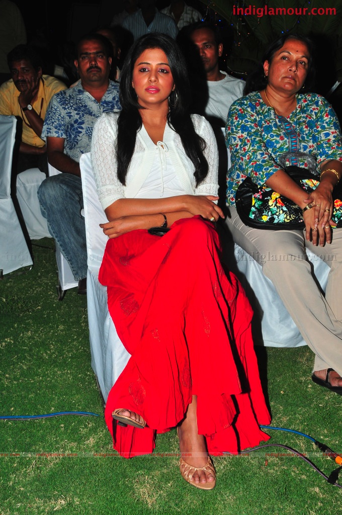 Priyamani Actress hd photo