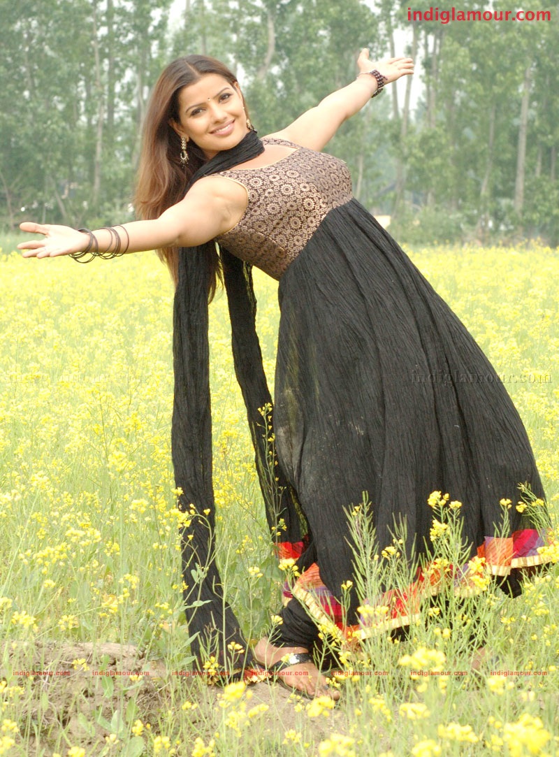 Madhu Sharma Actress hd photo