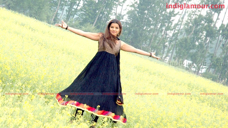 Madhu Sharma Actress hd photo