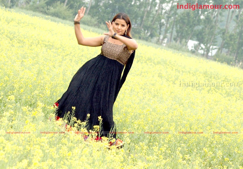 Madhu Sharma Actress hd photo