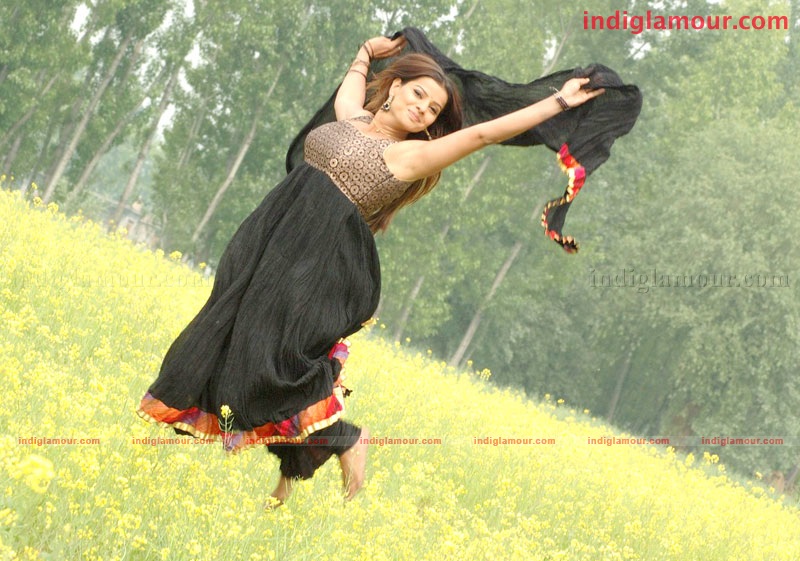 Madhu Sharma Actress hd photo