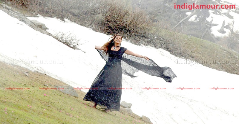 Madhu Sharma Actress hd photo