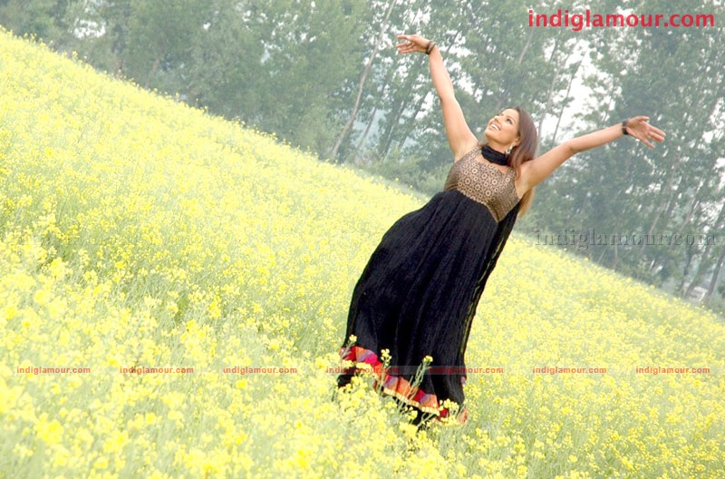 Madhu Sharma Actress hd photo