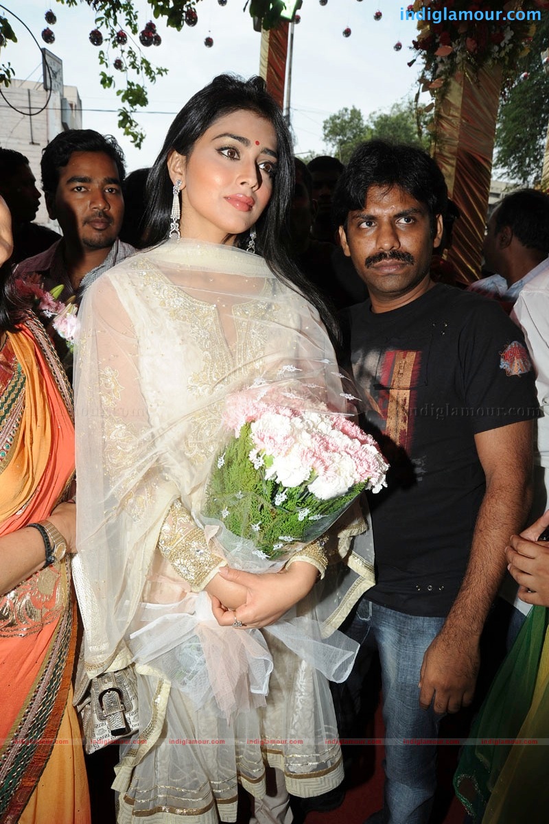 Shriya Saran Actress hd photo