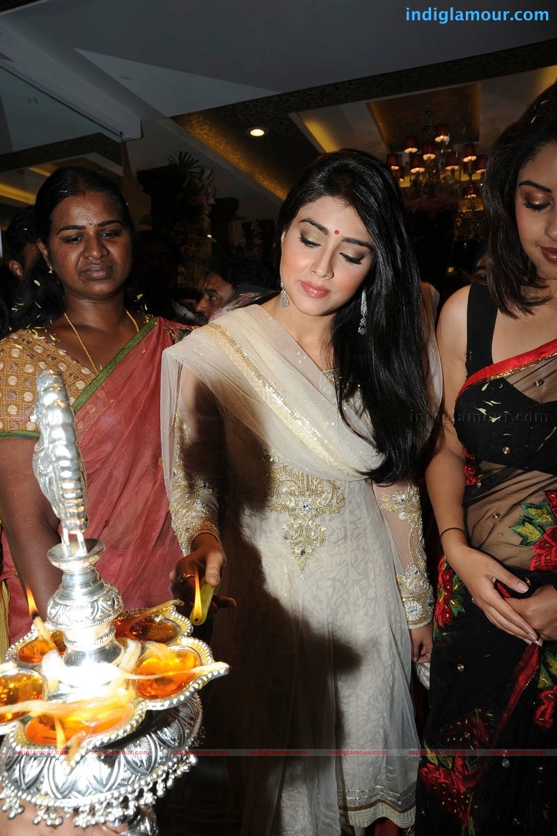 Shriya Saran Actress hd photo