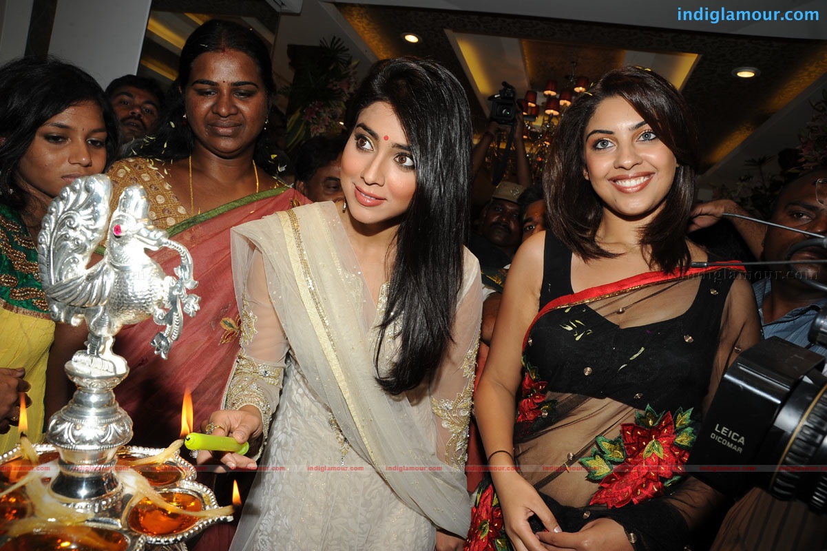 Shriya Saran Actress hd photo