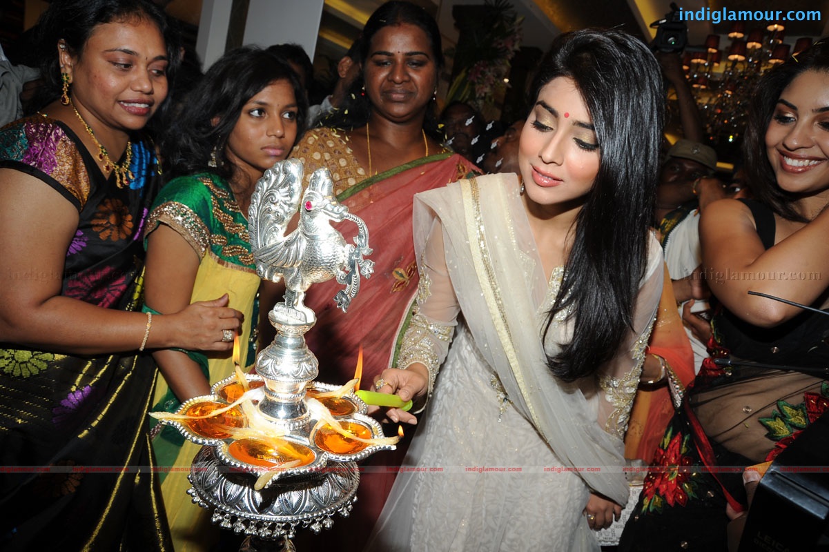 Shriya Saran Actress hd photo
