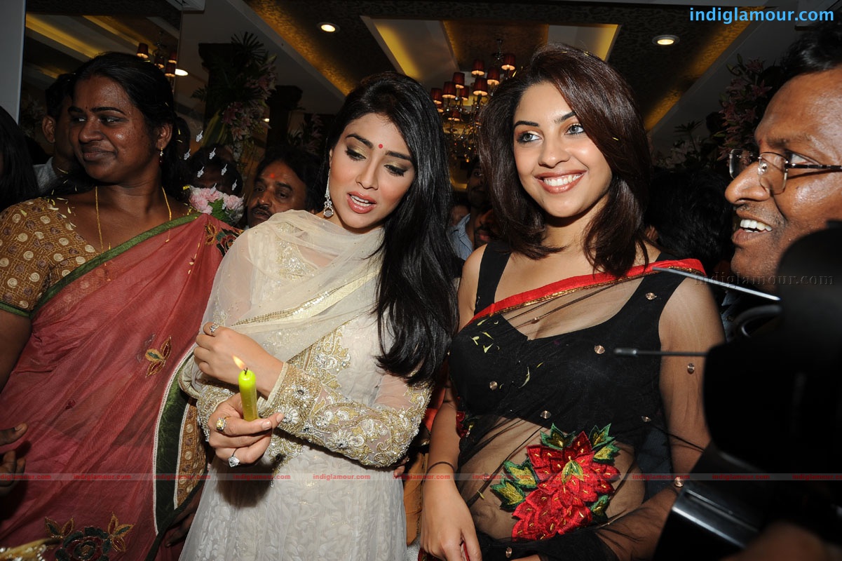 Shriya Saran Actress hd photo