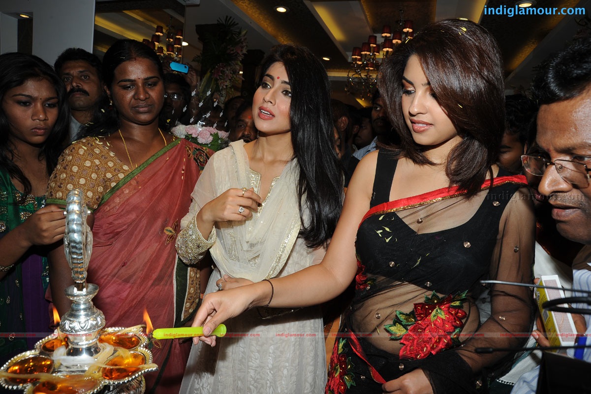 Shriya Saran Actress hd photo