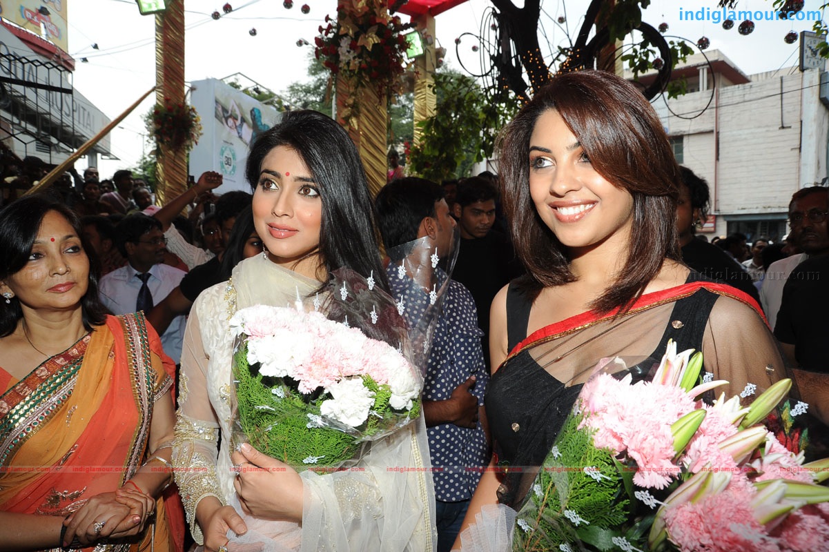 Shriya Saran Actress hd photo